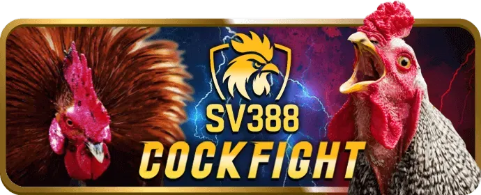 Nổ Hũ Video Slot